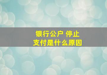 银行公户 停止支付是什么原因